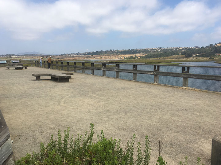 Recreational fishing from shore in the San Dieguito Lagoon SMCA